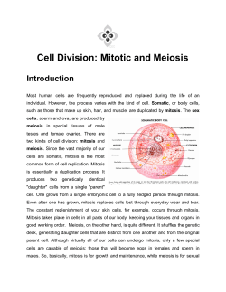 Cell Division: Mitotic and Meiosis