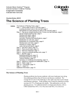 The Science of Planting Trees