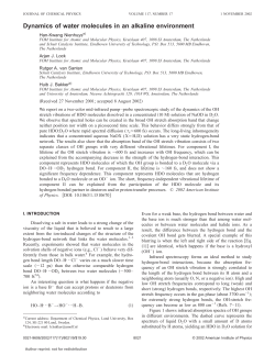 Dynamics of water molecules in an alkaline environment