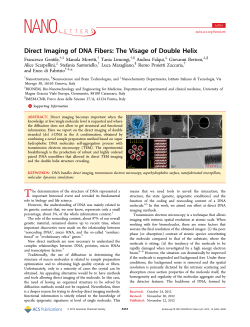 Direct Imaging of DNA Fibers: The Visage of Double Helix