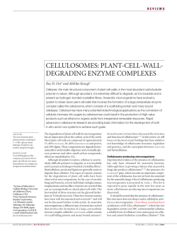 cellulosomes: plant-cell-wall