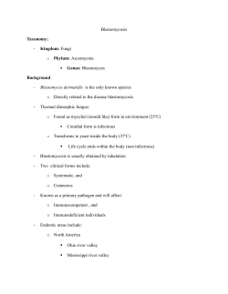 Blastomycosis Taxonomy: Kingdom: Fungi o Phylum: Ascomycota