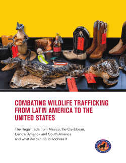 combating wildlife trafficking from latin america to the united states