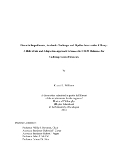 A Role Strain and Adaptation Approach to Success