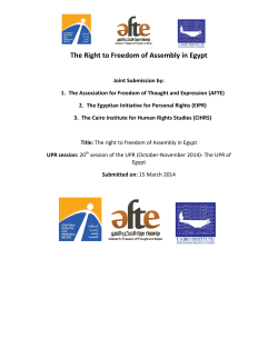 The Right to Freedom of Assembly in Egypt