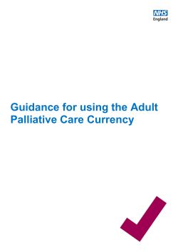 Guidance for using the Adult Palliative Care Currency