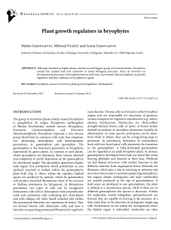 Plant growth regulators in bryophytes