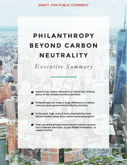 Executive Summary PHILANTHROPY BEYOND CARBON