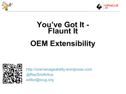 You`ve Got It - Flaunt It OEM Extensibility
