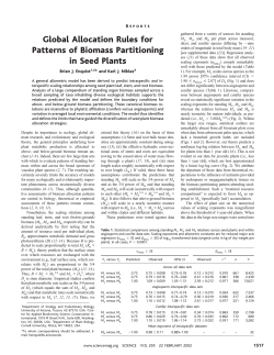 Global Allocation Rules for Patterns of Biomass Partitioning in Seed