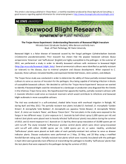 Boxwood Blight Research