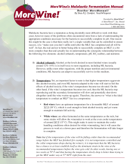 MoreWine!s Malolactic Fermentation Manual