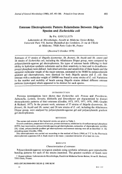 E. coli - Microbiology