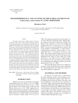 MICROMORPHOLOGY AND ANATOMY OF THE FLORAL