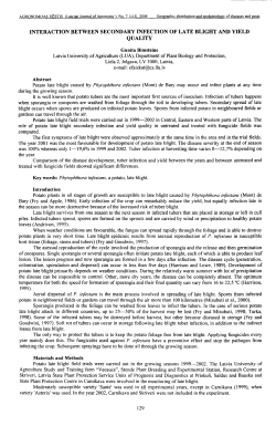 Interaction between secondary infection of late blight and yield quality