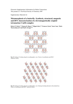 Metamorphosis of a butterfly: Synthesis, structural, magnetic and