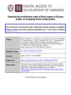 Exploring the evolutionary origin of floral organs of Erycina pusilla