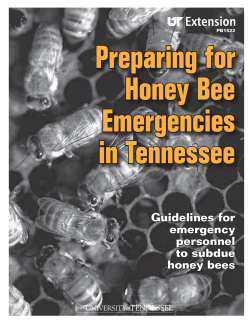 Preparing for Honey Bee Emergencies in Tennessee: Guidelines for