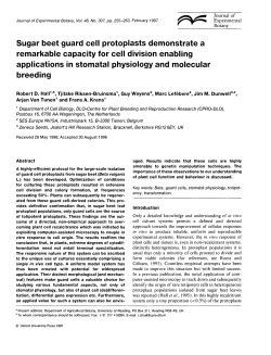 Sugar beet guard cell protoplasts demonstrate a