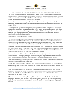 Source: http://www.shmoop.com/cell-respiration/evolution.html THE