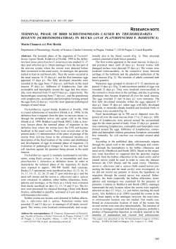 research note terminal phase of bird schistosomiasis caused by
