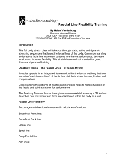 Fascial Line Flexibility Training