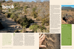 africa geographic - Samara Private Game Reserve