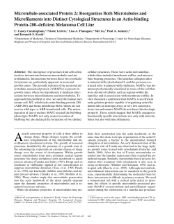Microtubule-associated Protein 2c Reorganizes