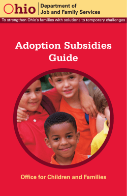 Adoption Subsidies Guide