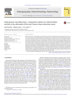 Early Jurassic microbial mats&mdash;A potential response to