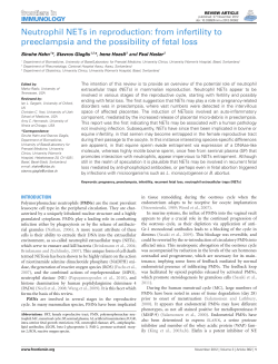 Neutrophil NETs in reproduction: from infertility to preeclampsia and