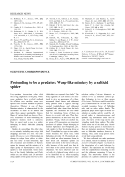 Pretending to be a predator: Wasp-like mimicry by a salticid spider
