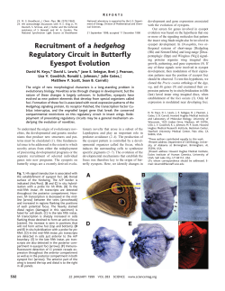 Recruitment of a hedgehog Regulatory Circuit in Butterfly Eyespot
