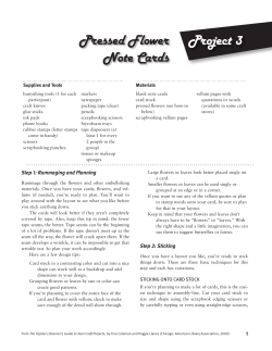 Project 3 Pressed Flower Note Cards