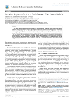 Circadian Rhythm in Stroke &ndash; The Influence of Our Internal Cellular