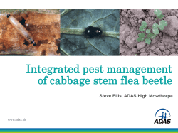 Title in sentence case