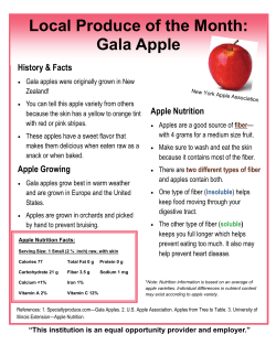 Local Produce of the Month: Gala Apple