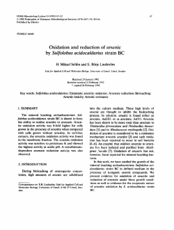 Oxidation and reduction of arsenic by Sulfolobus acidocaldarius