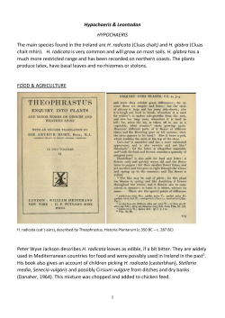 and H. glabra (Cluas