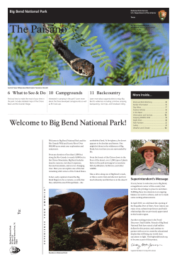 Big Bend national Park