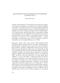 50 MECHANISMS OF RNA POLYMERASE III TRANSCRIPTION IN