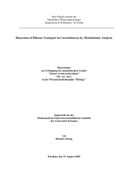 Dissection of Phloem Transport in Cucurbitaceae by