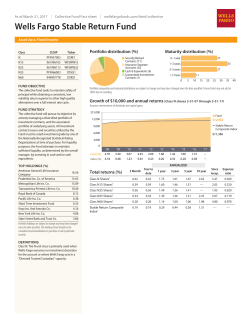 Wells Fargo Stable Return Fund