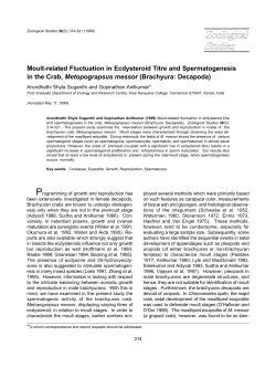 Moult-related Fluctuation in Ecdysteroid Titre and Spermatogenesis