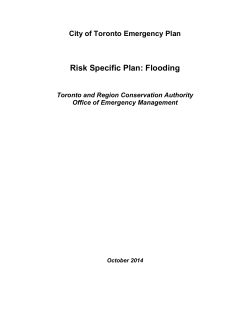 Risk Specific Plan: Flooding