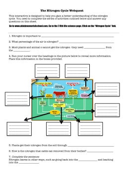 The Nitrogen Cycle Webquest