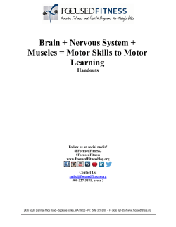 Handouts - WordPress.com