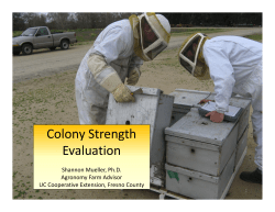 Colony Strength Evaluation - UC Cooperative Extension-