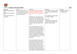 Science: Parts of a plant KS2