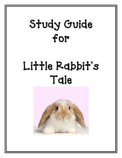 Study Guide for Little Rabbit`s Tale